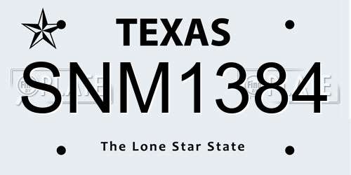 SNM1384 Texas License Plate