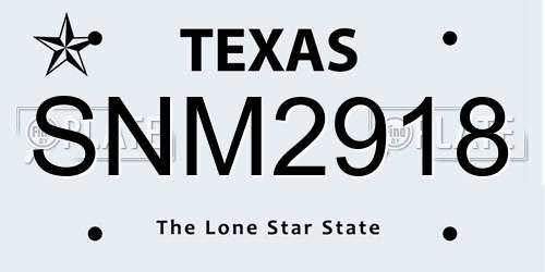 SNM2918 Texas License Plate