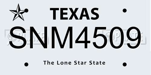 SNM4509 Texas License Plate