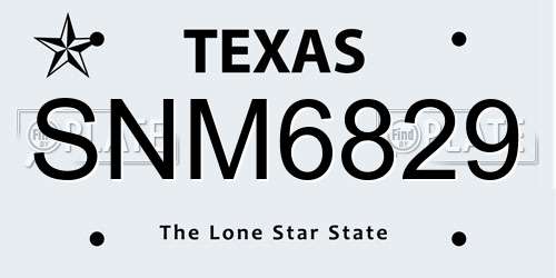 SNM6829 Texas License Plate