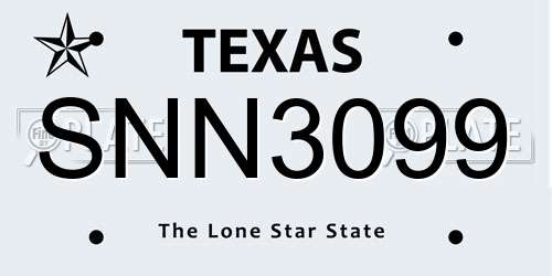 SNN3099 Texas License Plate