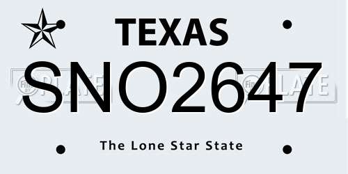 SNO2647 Texas License Plate
