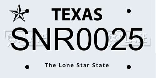 SNR0025 Texas License Plate