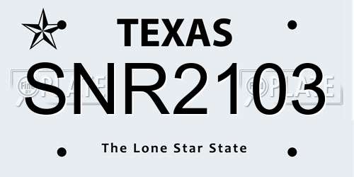 SNR2103 Texas License Plate