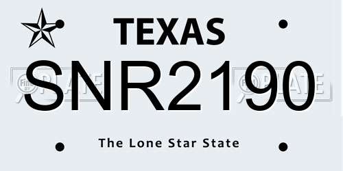 SNR2190 Texas License Plate