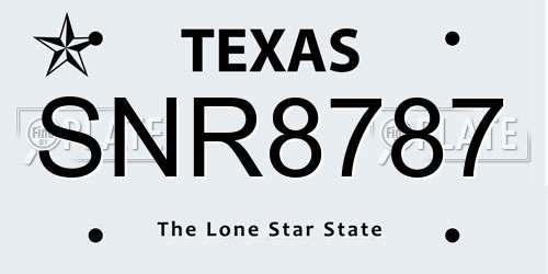 SNR8787 Texas License Plate
