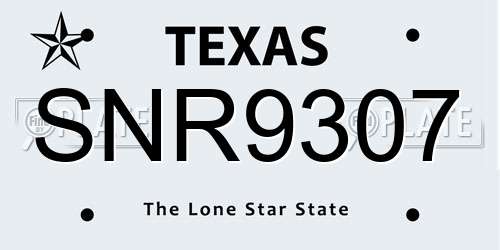 SNR9307 Texas License Plate