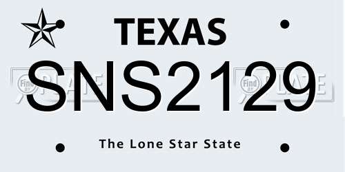 SNS2129 Texas License Plate