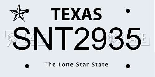 SNT2935 Texas License Plate