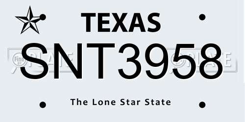 SNT3958 Texas License Plate