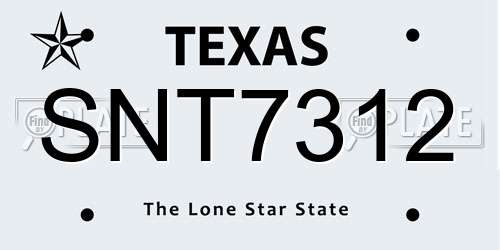 SNT7312 Texas License Plate