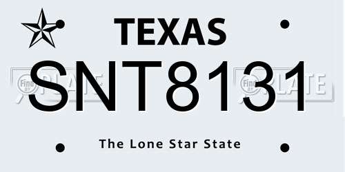 SNT8131 Texas License Plate