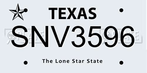 SNV3596 Texas License Plate