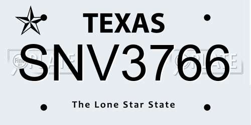 SNV3766 Texas License Plate