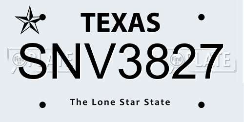 SNV3827 Texas License Plate
