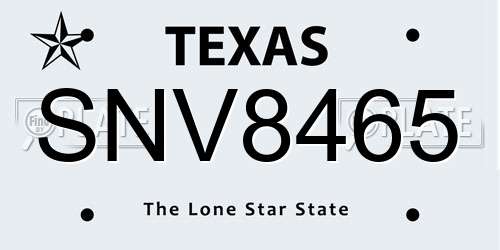 SNV8465 Texas License Plate