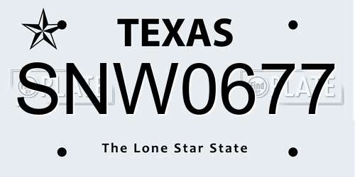 SNW0677 Texas License Plate