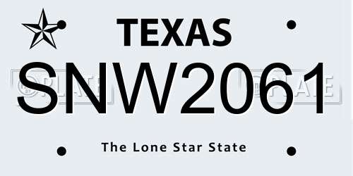 SNW2061 Texas License Plate