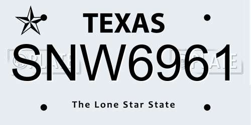 SNW6961 Texas License Plate