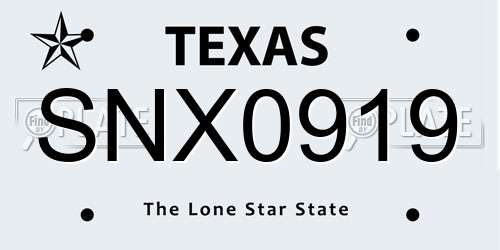 SNX0919 Texas License Plate