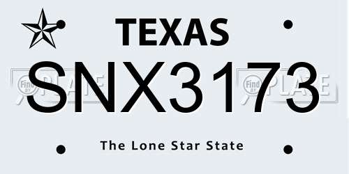 SNX3173 Texas License Plate