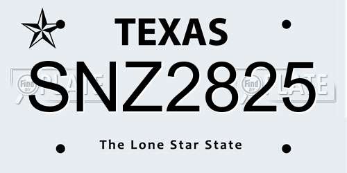 SNZ2825 Texas License Plate