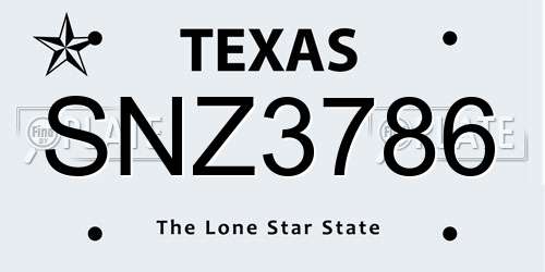 SNZ3786 Texas License Plate