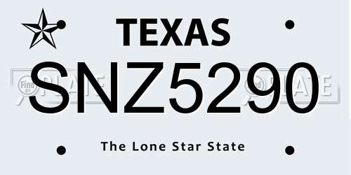 SNZ5290 Texas License Plate