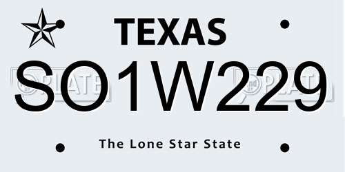 SO1W229 Texas License Plate