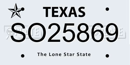 SO25869 Texas License Plate