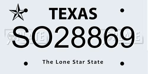 SO28869 Texas License Plate