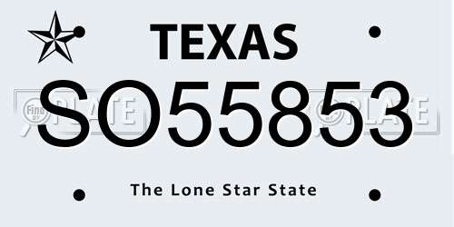 SO55853 Texas License Plate