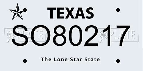 SO80217 Texas License Plate