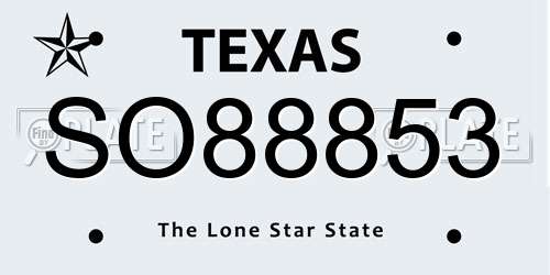 SO88853 Texas License Plate