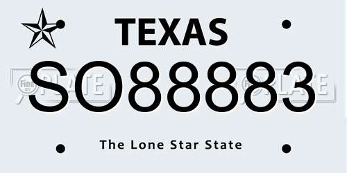 SO88883 Texas License Plate