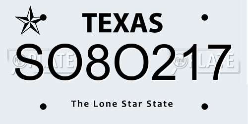 SO8O217 Texas License Plate