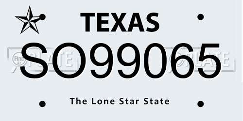 SO99065 Texas License Plate