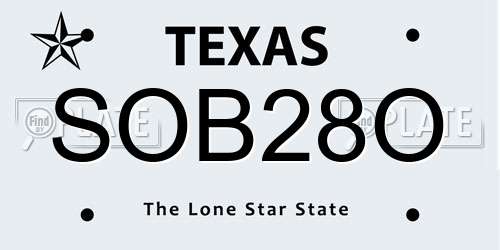SOB28O Texas License Plate