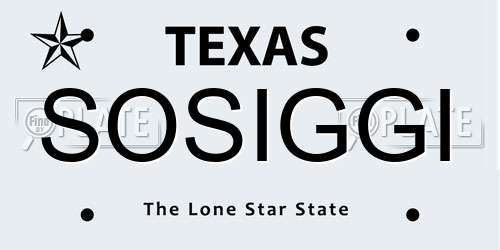 SOSIGGI Texas License Plate