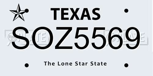 SOZ5569 Texas License Plate