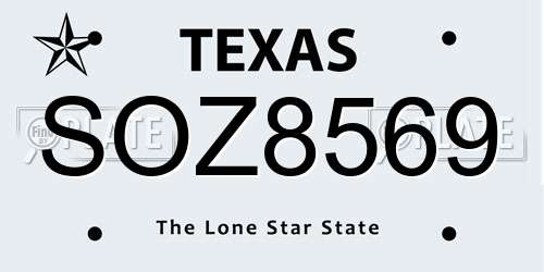 SOZ8569 Texas License Plate
