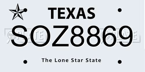 SOZ8869 Texas License Plate