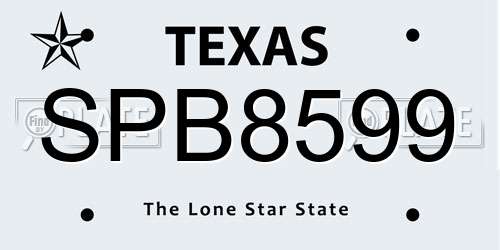 SPB8599 Texas License Plate