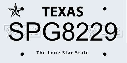 SPG8229 Texas License Plate
