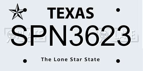 SPN3623 Texas License Plate