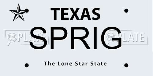 SPRIG Texas License Plate