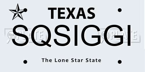 SQSIGGI Texas License Plate