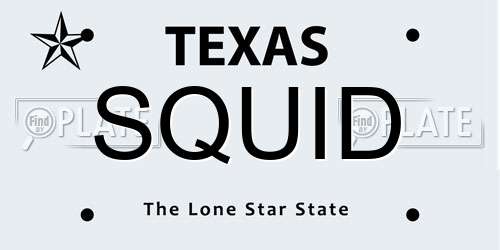 SQUID Texas License Plate
