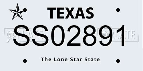 SS02891 Texas License Plate