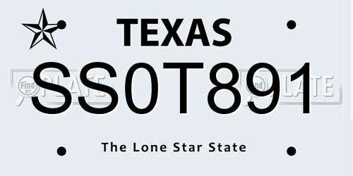 SS0T891 Texas License Plate